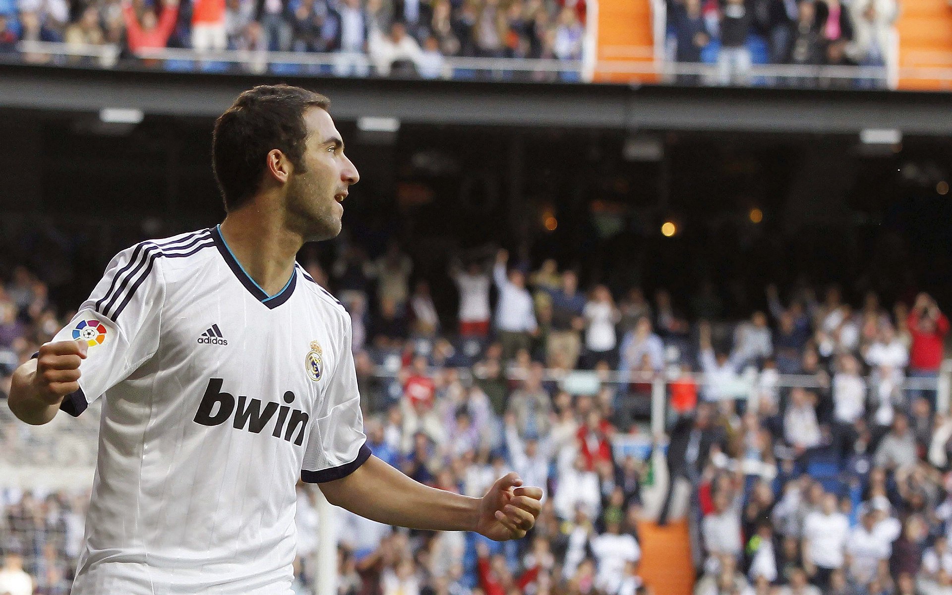 全新赛制提升赛事观赏性，选手需快速适应，最全观赛指南