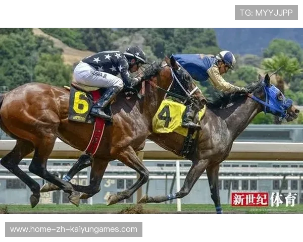 体育赛事内容分发多平台策略最大化商业价值